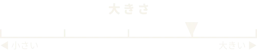 大きさ
