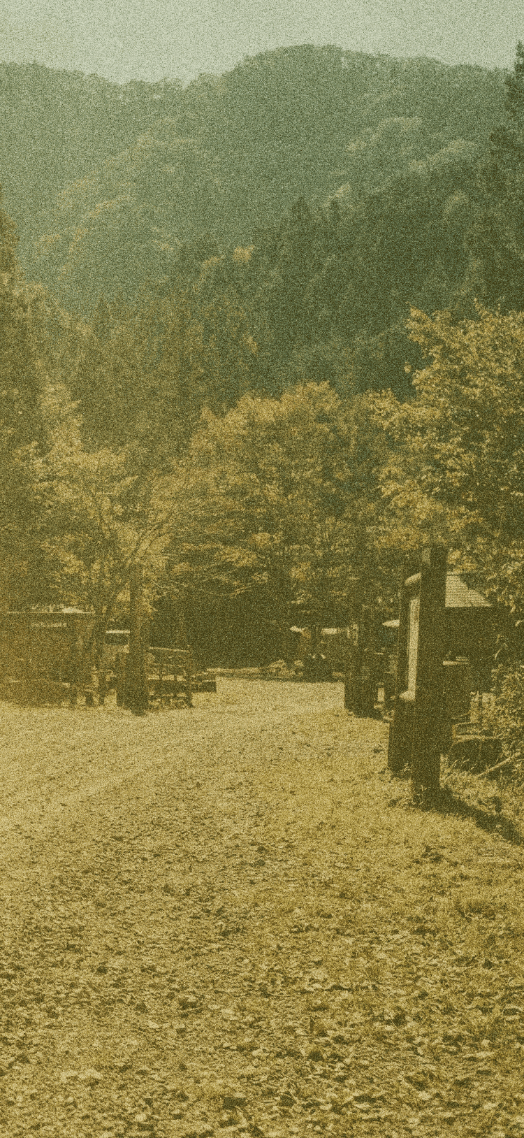 bg_lineup_vehicles_01