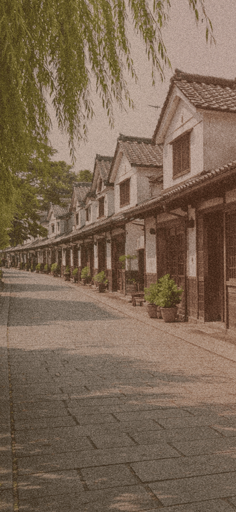 bg_lineup_vehicles_02