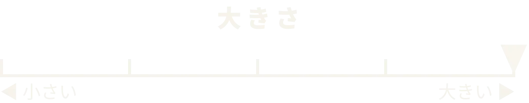 大きさ