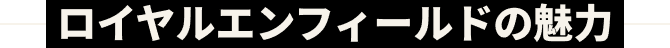 ロイヤルエンフィールドの魅力